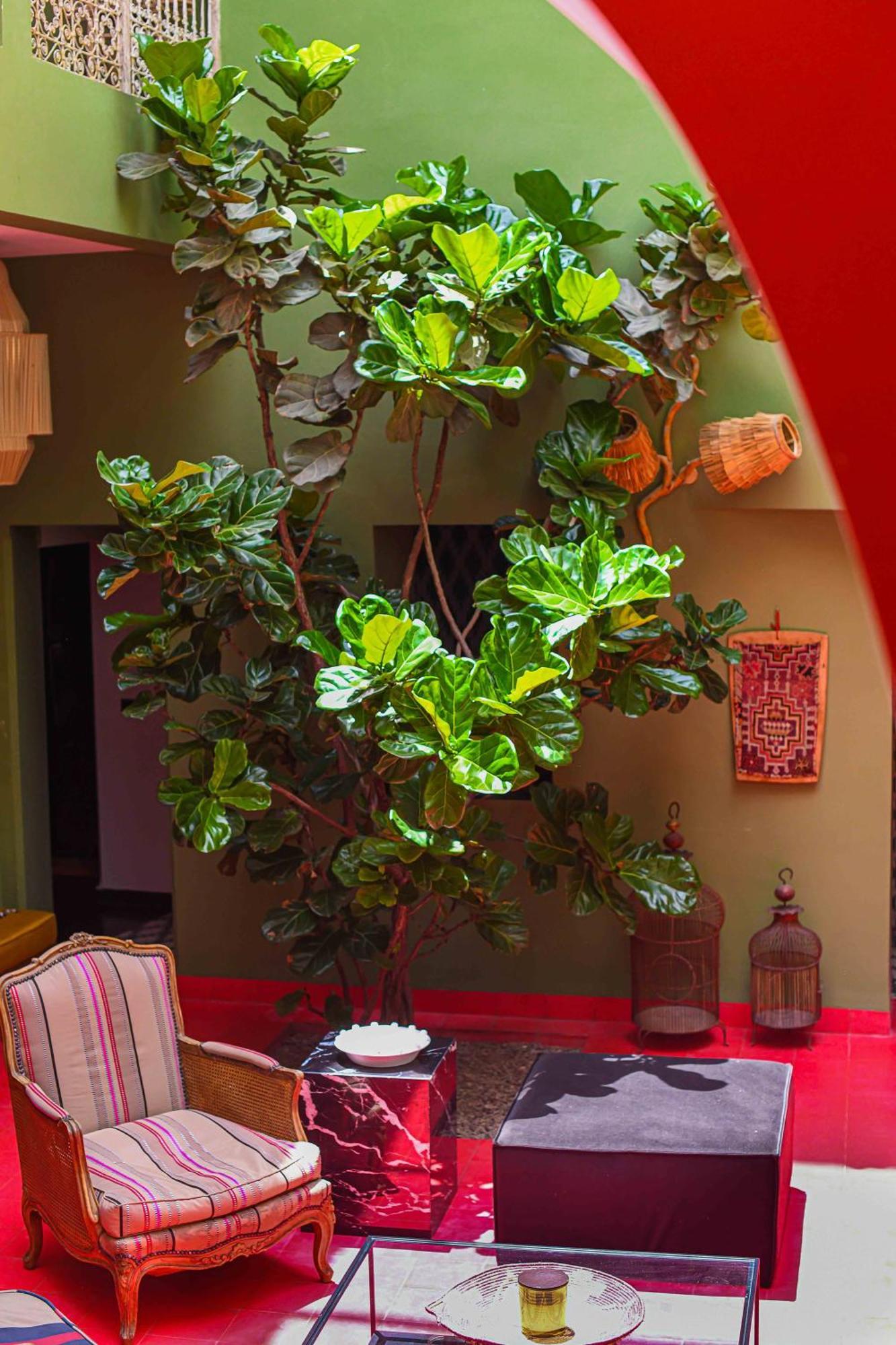 Riad Olive Privatif 4 Personnes Marraquexe Exterior foto